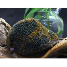 收藏级新疆巴楚黑山奇石天然戈壁玛瑙大块纹路石静脉经脉石筋脉石