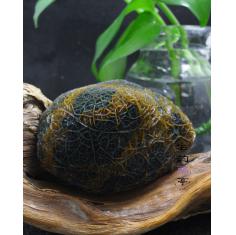 收藏级新疆巴楚黑山奇石天然戈壁玛瑙大块纹路石静脉经脉石筋脉石