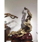 网络精品扭曲料大观3