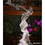 网络精品扭曲料大观3