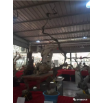 网络精品扭曲料大观6