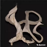 网络精品扭曲料大观6