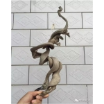 网络精品扭曲料大观8