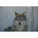 张运华---天狼系列5精品写真油画，室内装饰画 墙画，画家真迹