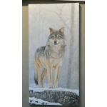 张运华---天狼系列5精品写真油画，室内装饰画 墙画，画家真迹