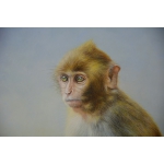 张运华---超现实动物系列1金猴，室内挂画精品，吉祥画 财运画 护神画，室内装饰画，画家真迹