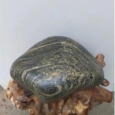 一对父子奇石，贝状象形，同心流纹，回状纹，花岗岩奇石，小来自大别山河、大来自北京永定河，自湊奇石一对