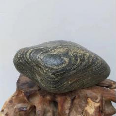 一对父子奇石，贝状象形，同心流纹，回状纹，花岗岩奇石，小来自大别山河、大来自北京永定河，自湊奇石一对