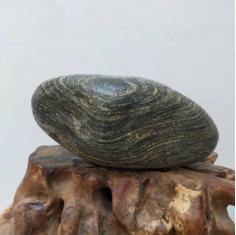 一对父子奇石，贝状象形，同心流纹，回状纹，花岗岩奇石，小来自大别山河、大来自北京永定河，自湊奇石一对