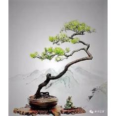 复旦陈果老师人生最完整的一堂课