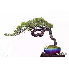 复旦陈果老师人生最完整的一堂课