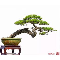 复旦陈果老师人生最完整的一堂课
