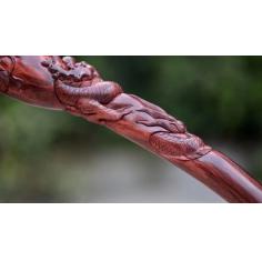 【海黄. 龙拐】 