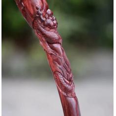 【海黄. 龙拐】 