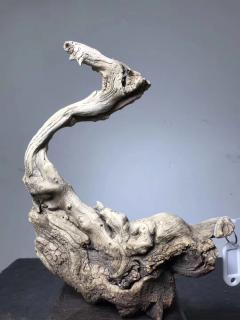 独自站立，小天鹅，2.2斤完整无伤，都是菩萨云纹，纹理特别细腻，精品收藏