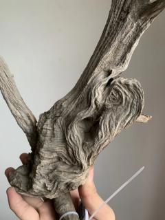 太行崖柏奇料，骨料，意境，高33宽22，1斤