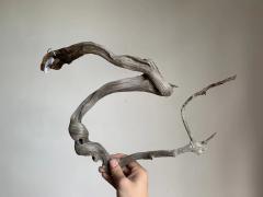 小飞龙30*40，8两，黑骨泥皮陈化小料，扭曲造型小精品，稀！