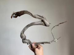 小飞龙30*40，8两，黑骨泥皮陈化小料，扭曲造型小精品，稀！