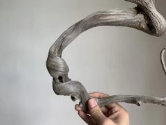 小飞龙30*40，8两，黑骨泥皮陈化小料，扭曲造型小精品，稀！