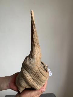 太行崖柏海螺坨坨，超级圆润，层次感体现明显，精品重3.1斤