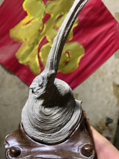 精品满圆锥坨坨，价高收藏