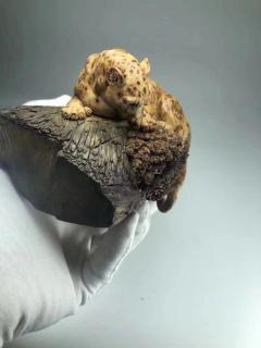 崖柏巧雕，巧借瘤花做为豹身。