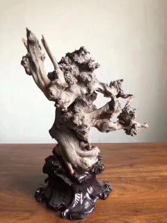 《太极》太行崖柏重器陈化瘤摆件，全身爆满爆密，陈化极好.