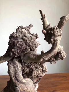 《太极》太行崖柏重器陈化瘤摆件，全身爆满爆密，陈化极好.