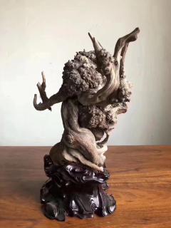 《太极》太行崖柏重器陈化瘤摆件，全身爆满爆密，陈化极好.
