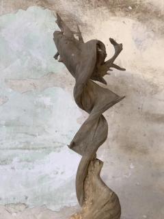 极品红骨舍利扭曲，不多解释