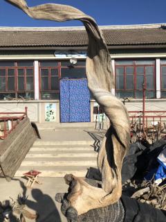 崖柏扭曲料精品，一个宽板骨料，一个双扭曲，单独报价