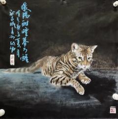 陈欣功老师《猫》系列作品