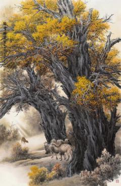 赵雅清老师八尺精品胡杨 244*122CM
