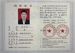 长城画派第一人王大为先生金长城欣赏