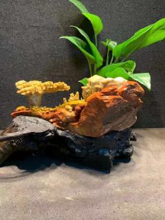 老挝石   取材上乘，全立体工艺，精雕细琢，纯手工艺打造，特荐收藏！