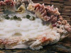 大好河山 尺寸如图[色][色]  25