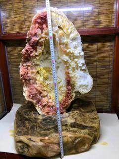 孤品，潭门独一件，千年一遇，传世之作，稀有大规格52公分，【黄岩岛牛血红贝】摆件，非常稀有的颜色，苏工精雕，工艺非常好，巧雕立体感足，细节非常到位。寓意：【八星贺寿】工艺一流，品相完美，大师精心设计效果相当不错，喜欢收藏的朋友私信，配置海南