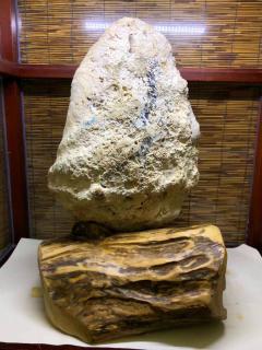 孤品，潭门独一件，千年一遇，传世之作，稀有大规格52公分，【黄岩岛牛血红贝】摆件，非常稀有的颜色，苏工精雕，工艺非常好，巧雕立体感足，细节非常到位。寓意：【八星贺寿】工艺一流，品相完美，大师精心设计效果相当不错，喜欢收藏的朋友私信，配置海南