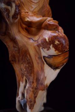 秒2500《招财纳福》18 16 38