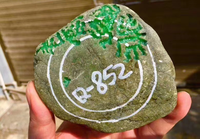 Y2876     后江满绿冰色手镯料  544克 尺寸：10-9-3cm    皮壳扎实工整，种老起冰渣，大面积开窗冰色阳绿，肉细色阳色艳，目测挂件已有，玉质冰感好，取货价值高，赌手镯，喜欢带走