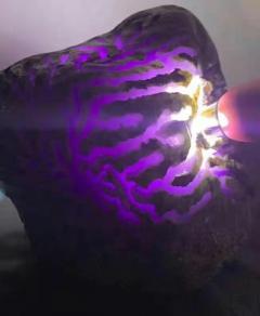 JF2124号2.2公斤会卡紫罗兰，满身开窗不变种，整个都是，种老肉细，水头充足，打灯通透，满冰紫罗兰手镯多多，无裂纹，直接出货零风险，收藏品尺寸15*11*9cm