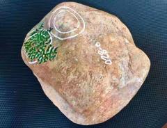 实力派冰阳绿！老木那阳绿满色手镯料 8.2公斤 尺寸：22-21-7cm 皮壳紧致扎实，老坑红蜡皮，开窗处满色大牌已看到，种老化冰，色阳色辣，满色手镯几乎已看到，肉细水润起胶，打灯冰感足，水头一流，品相非常好，满色手镯多多