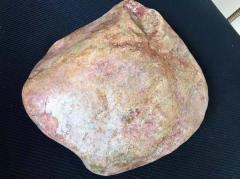 实力派冰阳绿！老木那阳绿满色手镯料 8.2公斤 尺寸：22-21-7cm 皮壳紧致扎实，老坑红蜡皮，开窗处满色大牌已看到，种老化冰，色阳色辣，满色手镯几乎已看到，肉细水润起胶，打灯冰感足，水头一流，品相非常好，满色手镯多多