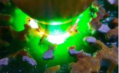 实力派冰阳绿！老木那阳绿满色手镯料 8.2公斤 尺寸：22-21-7cm 皮壳紧致扎实，老坑红蜡皮，开窗处满色大牌已看到，种老化冰，色阳色辣，满色手镯几乎已看到，肉细水润起胶，打灯冰感足，水头一流，品相非常好，满色手镯多多