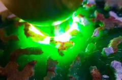 实力派冰阳绿！老木那阳绿满色手镯料 8.2公斤 尺寸：22-21-7cm 皮壳紧致扎实，老坑红蜡皮，开窗处满色大牌已看到，种老化冰，色阳色辣，满色手镯几乎已看到，肉细水润起胶，打灯冰感足，水头一流，品相非常好，满色手镯多多