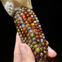 七彩宝石文玩玉米带皮天然宝石血丝文玩玉米毛料，不带皮